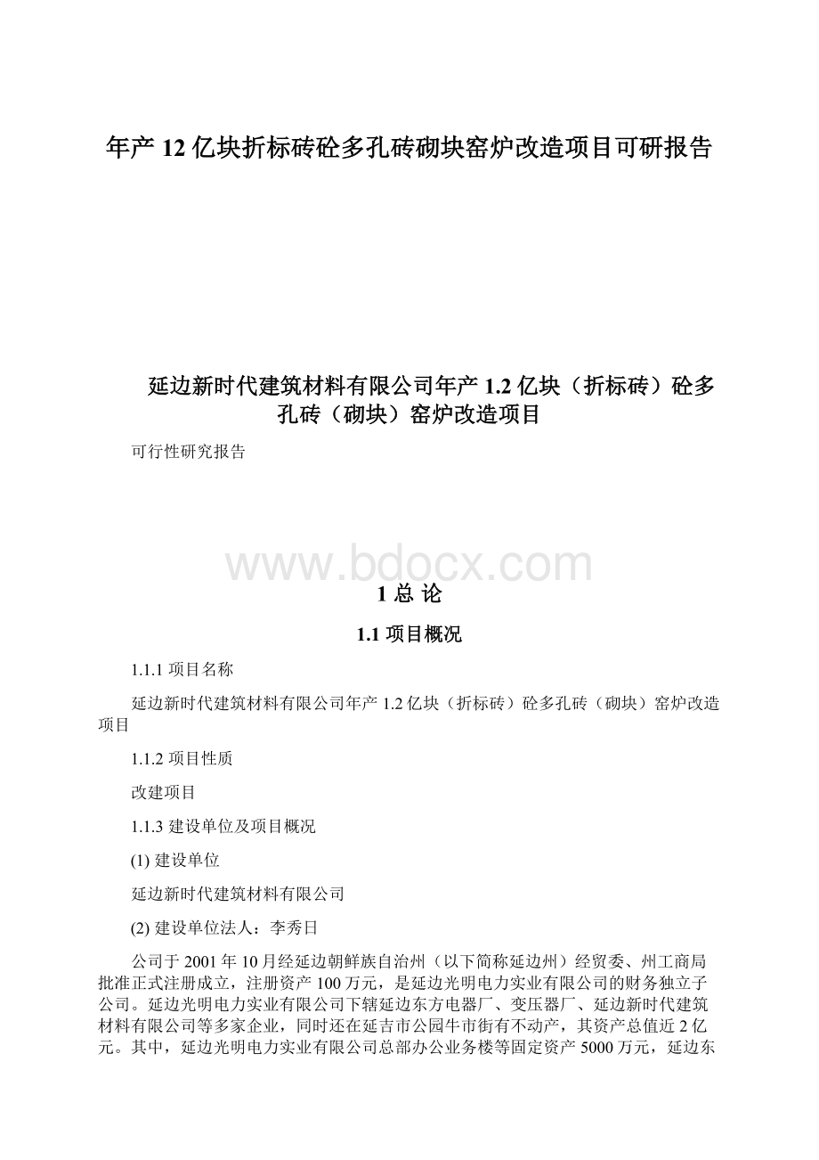 年产12亿块折标砖砼多孔砖砌块窑炉改造项目可研报告文档格式.docx_第1页