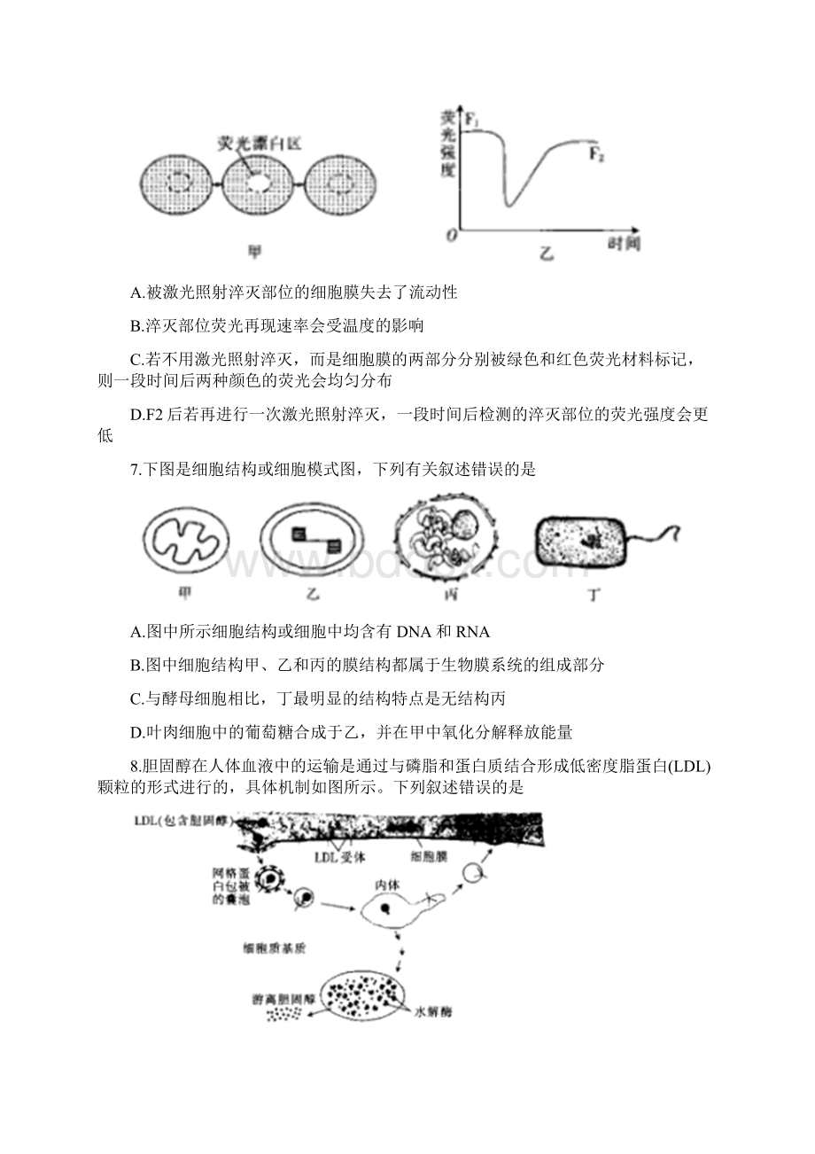 届湖南省长郡中学高三第三次调研考试 生物.docx_第3页