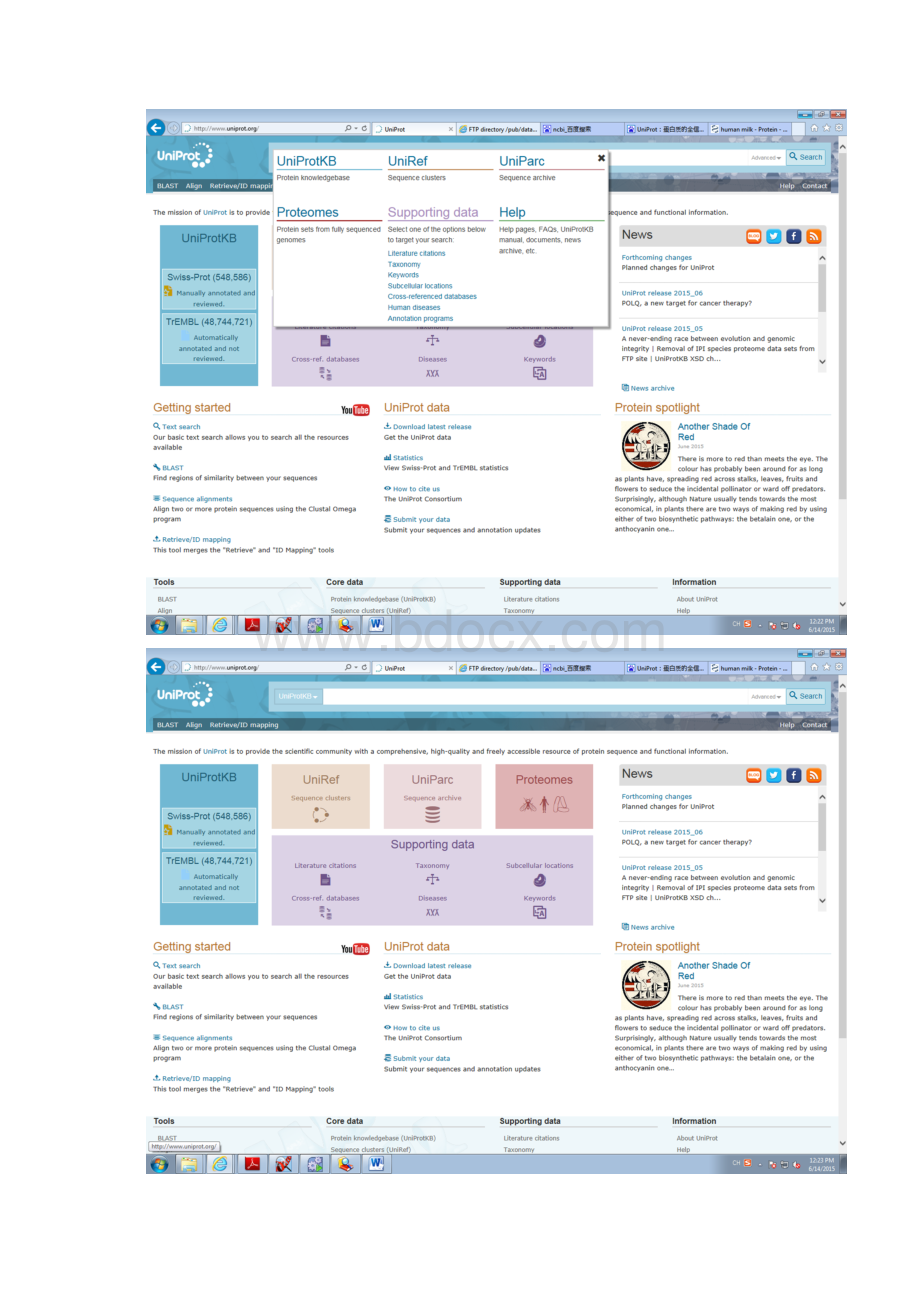 uniprot 蛋白库下载及添加到PD流程.docx_第2页