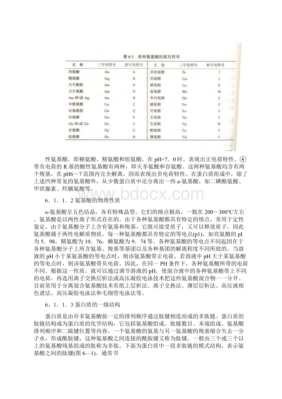 6蛋白质工程1.docx_第3页