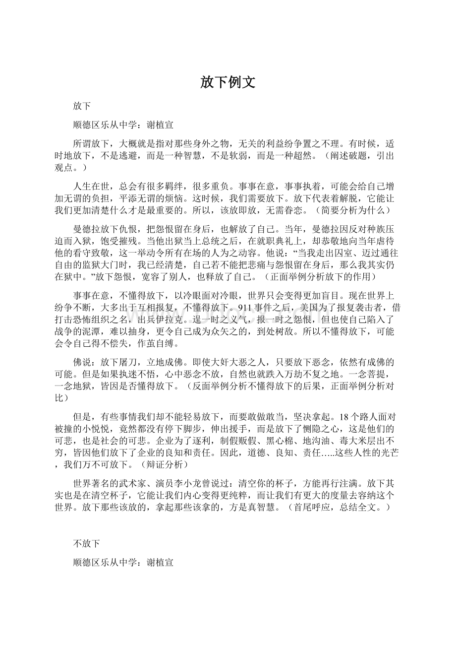 放下例文.docx_第1页