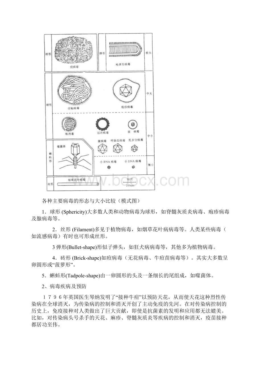 青岛版小学科学五年级上册精品教案 全册.docx_第3页