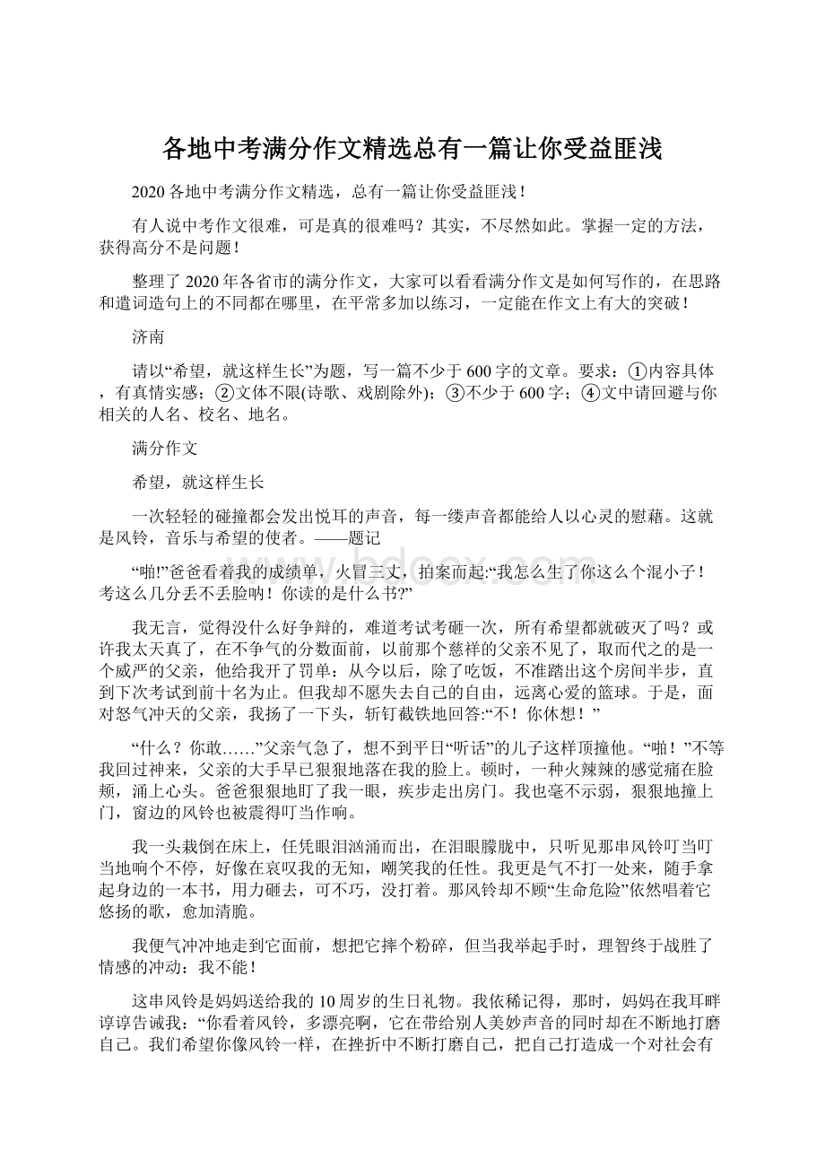 各地中考满分作文精选总有一篇让你受益匪浅Word下载.docx_第1页