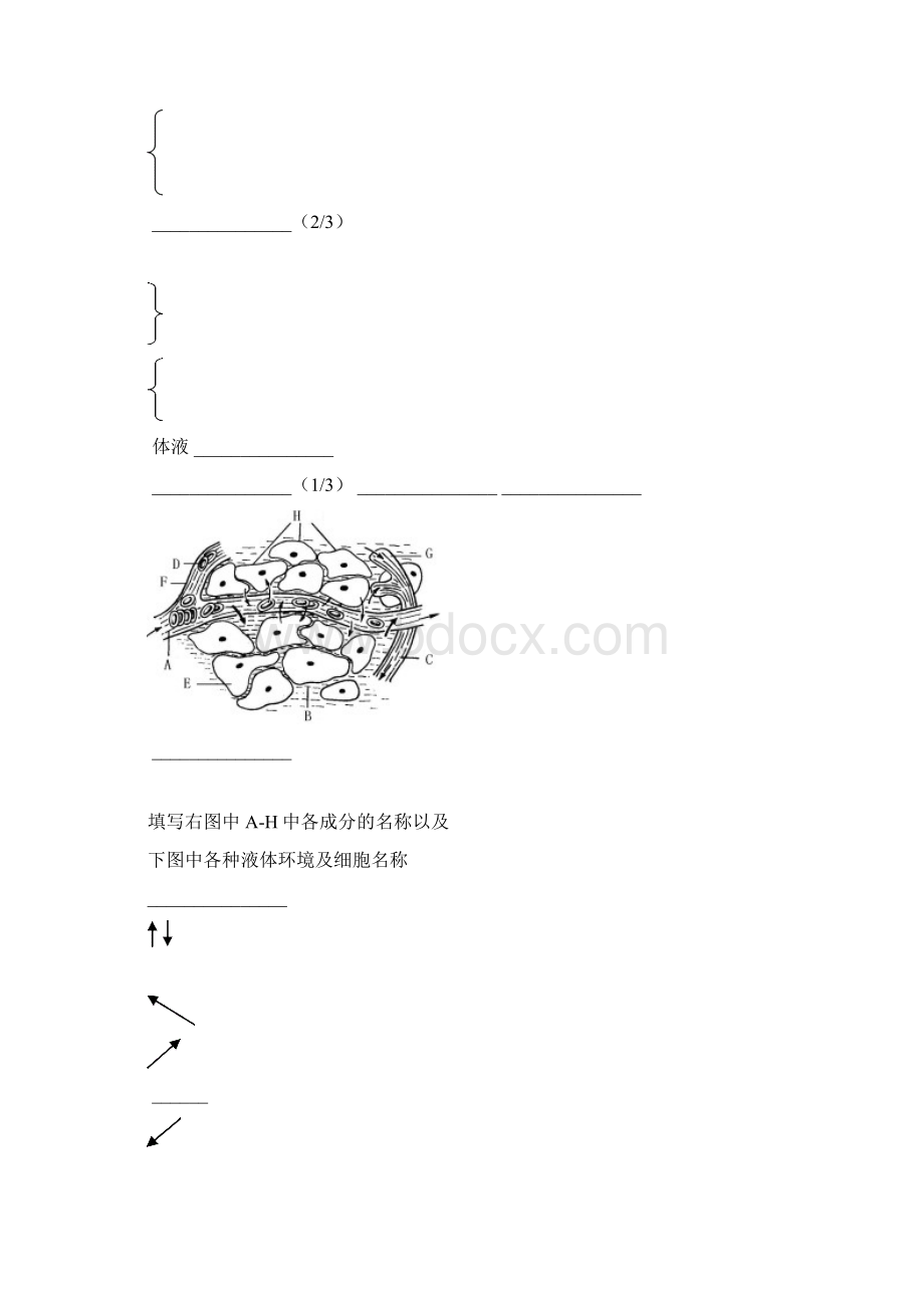 稳态与环境知识结构整理.docx_第3页