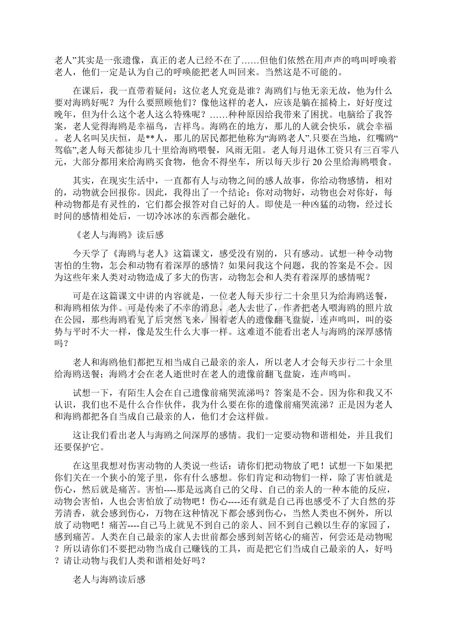 《老人与海鸥》读书笔记Word格式文档下载.docx_第2页