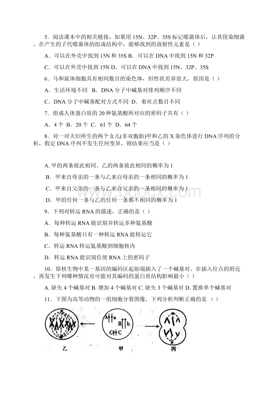 高二生物遗传与进化模块测试试题Word格式.docx_第2页