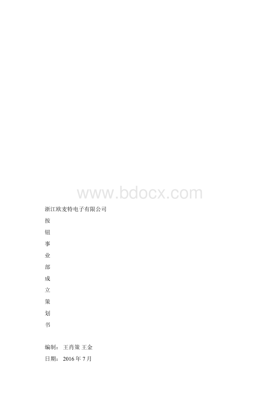 事业部方案.docx_第2页