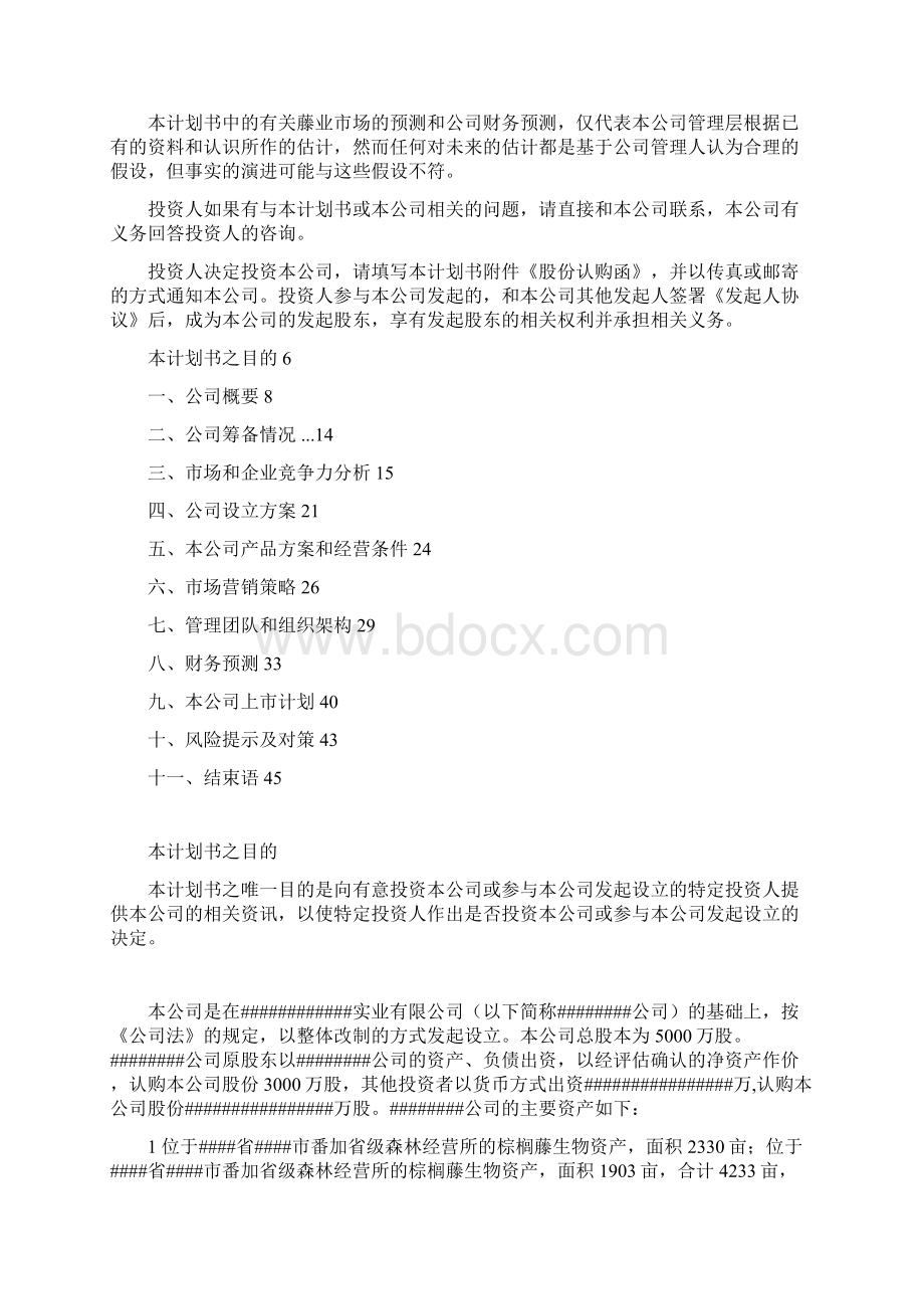 某发展股份制项目商业计划书Word下载.docx_第2页