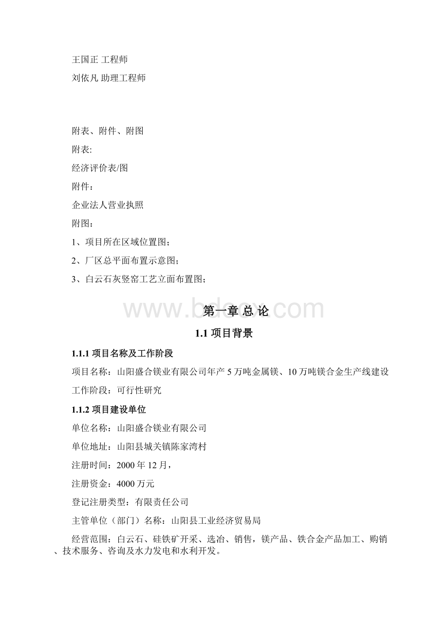 年产5万吨金属镁10万吨镁合金生产线建设项目可行性研究报告Word文档下载推荐.docx_第2页