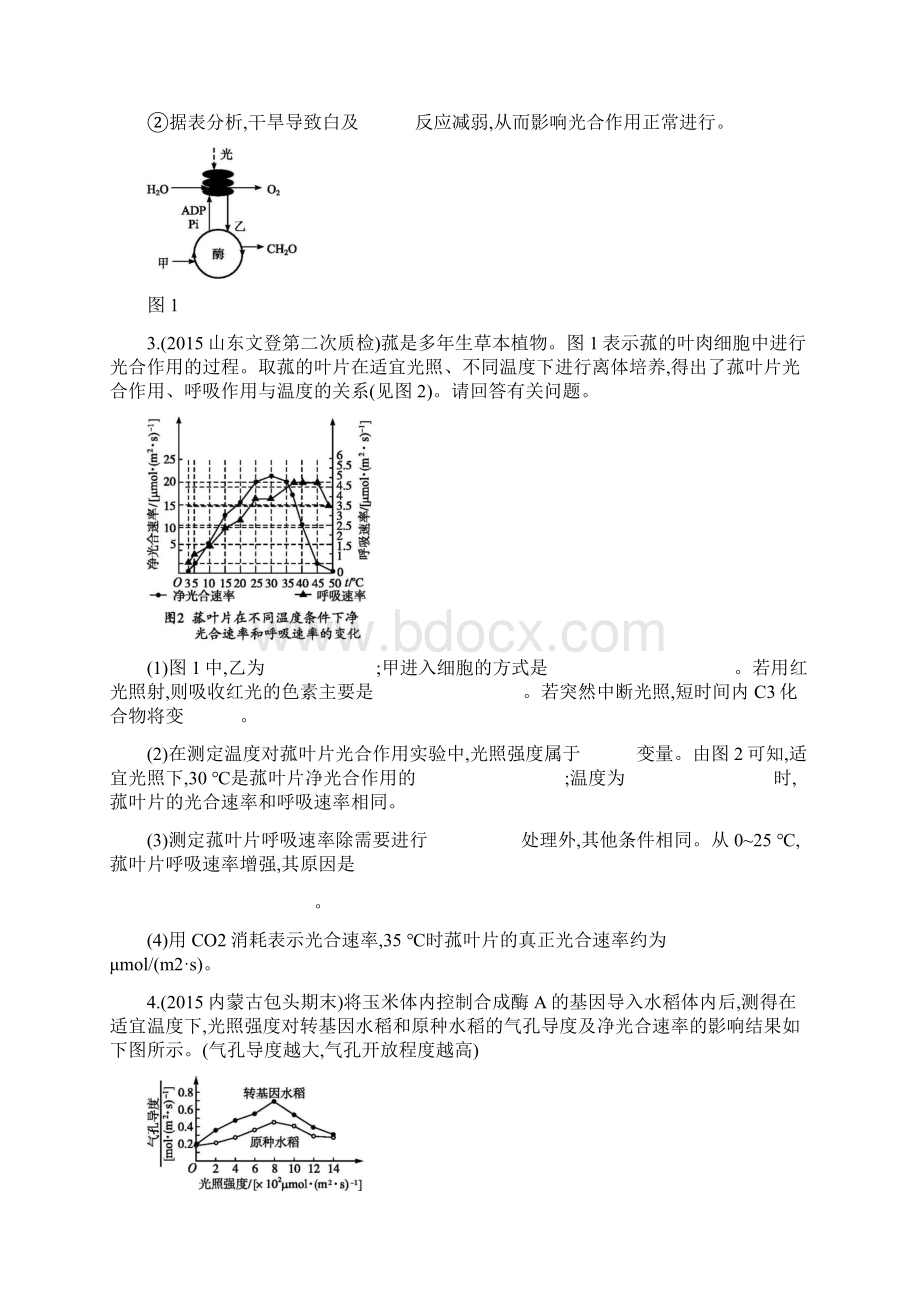 高考生物总复习非选择题考前规范训练一 细胞呼吸和光合作用.docx_第3页