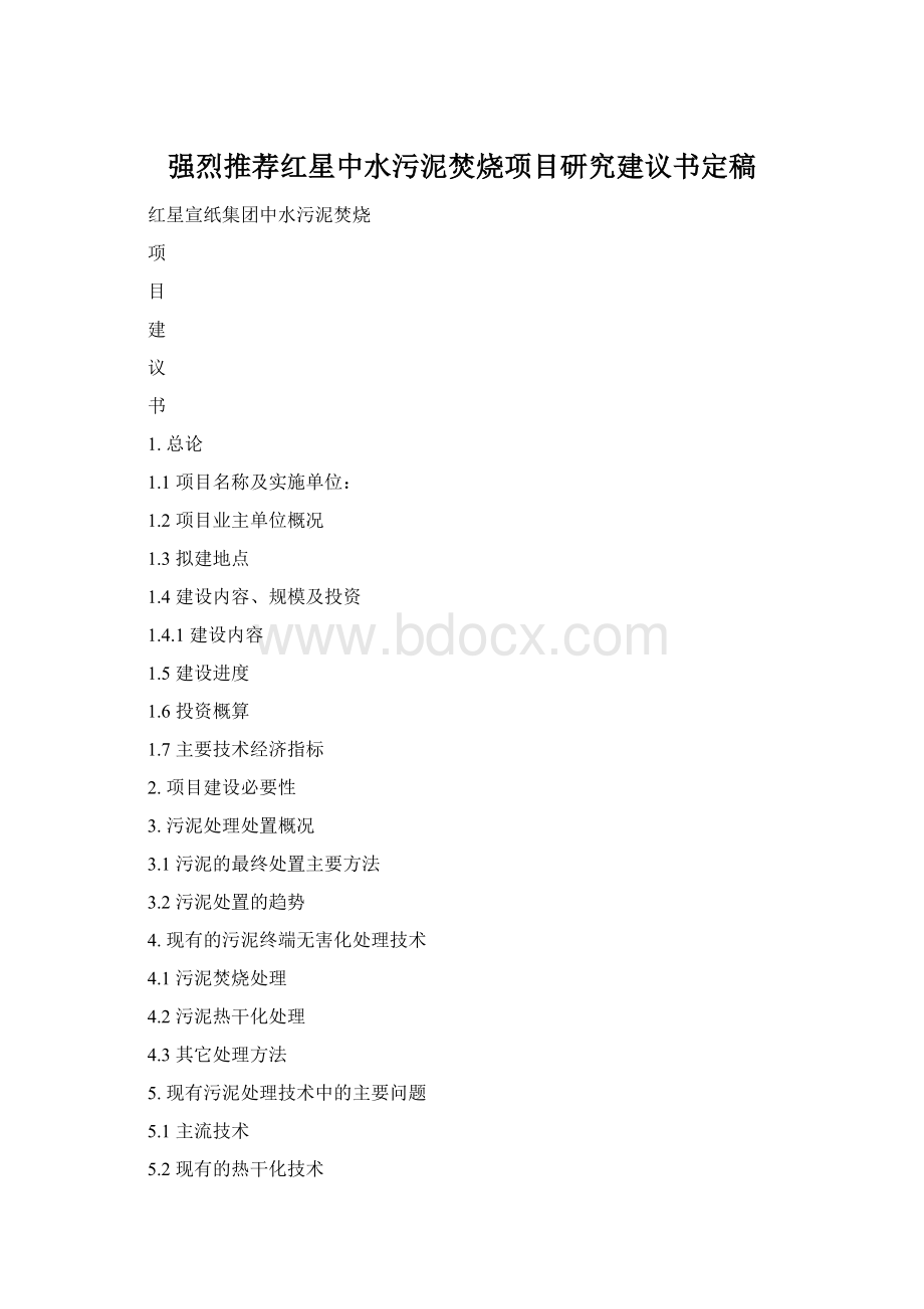 强烈推荐红星中水污泥焚烧项目研究建议书定稿Word文档格式.docx