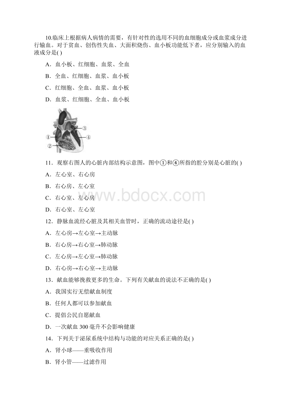 人教版七年级学年度第二学期期末生物试题及答案含两套题文档格式.docx_第3页