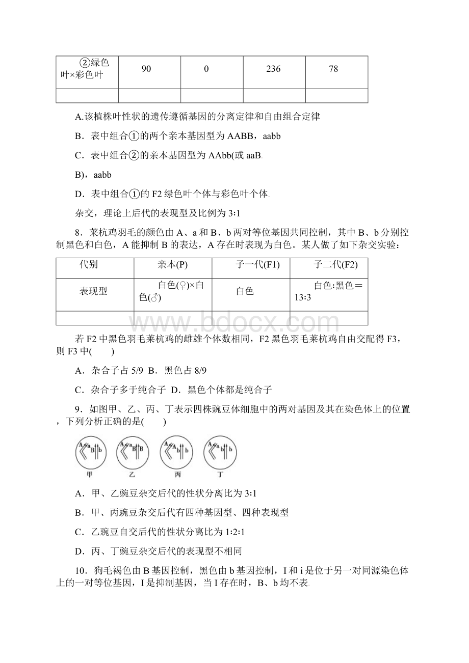 专题五《基因的自由组合定律》.docx_第3页