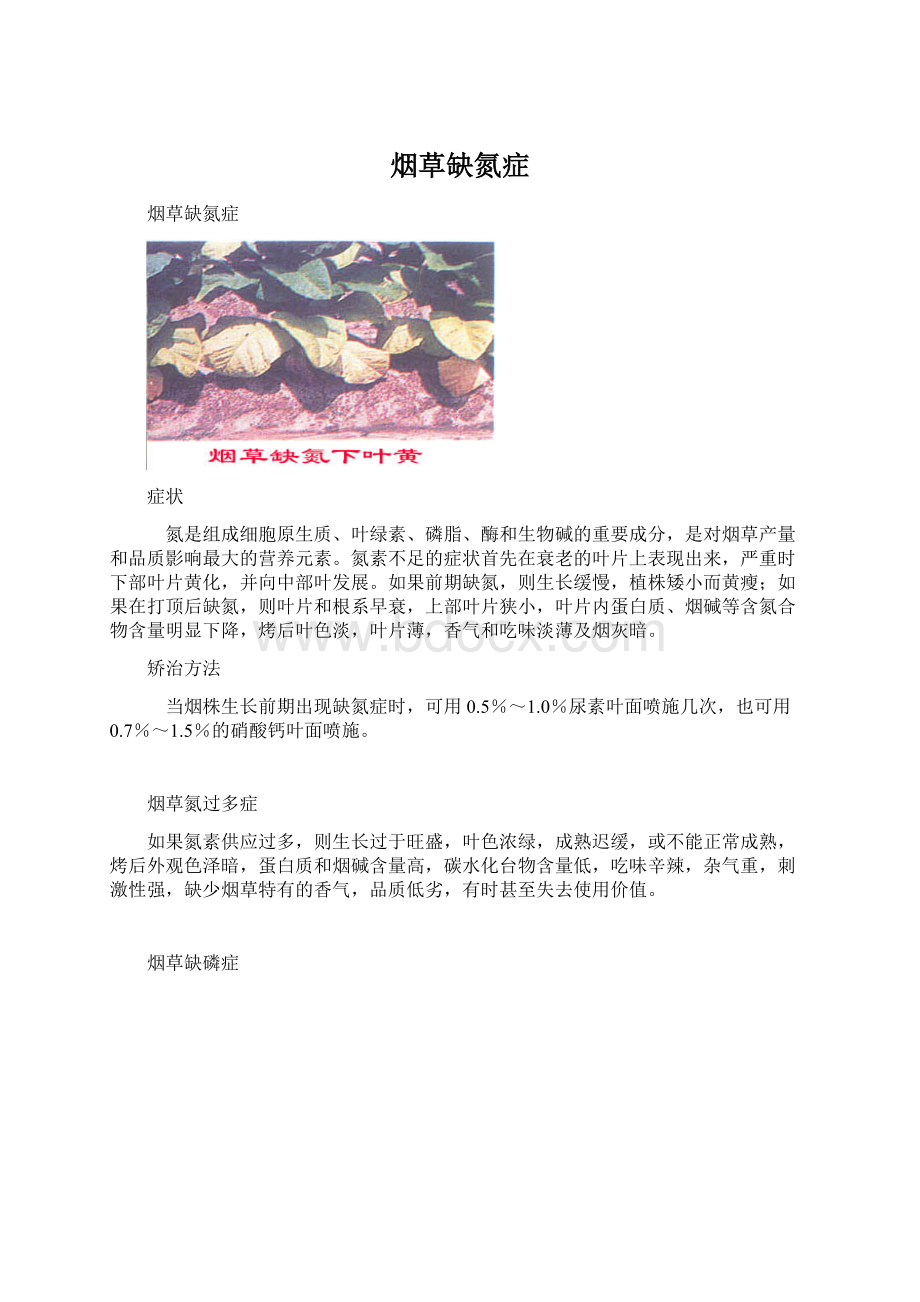 烟草缺氮症文档格式.docx