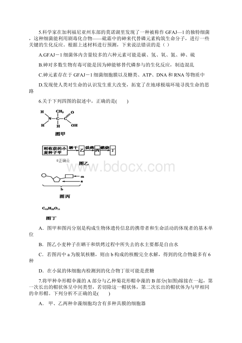 湖北省宜昌市部分示范高中教学协作体届高三生物下学期期中试题Word下载.docx_第2页