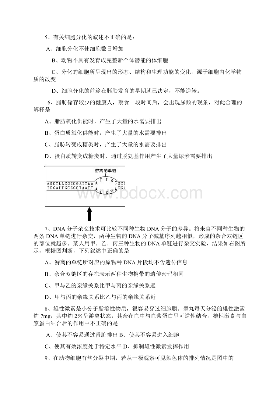 高考生物模拟试题1Word文档下载推荐.docx_第2页