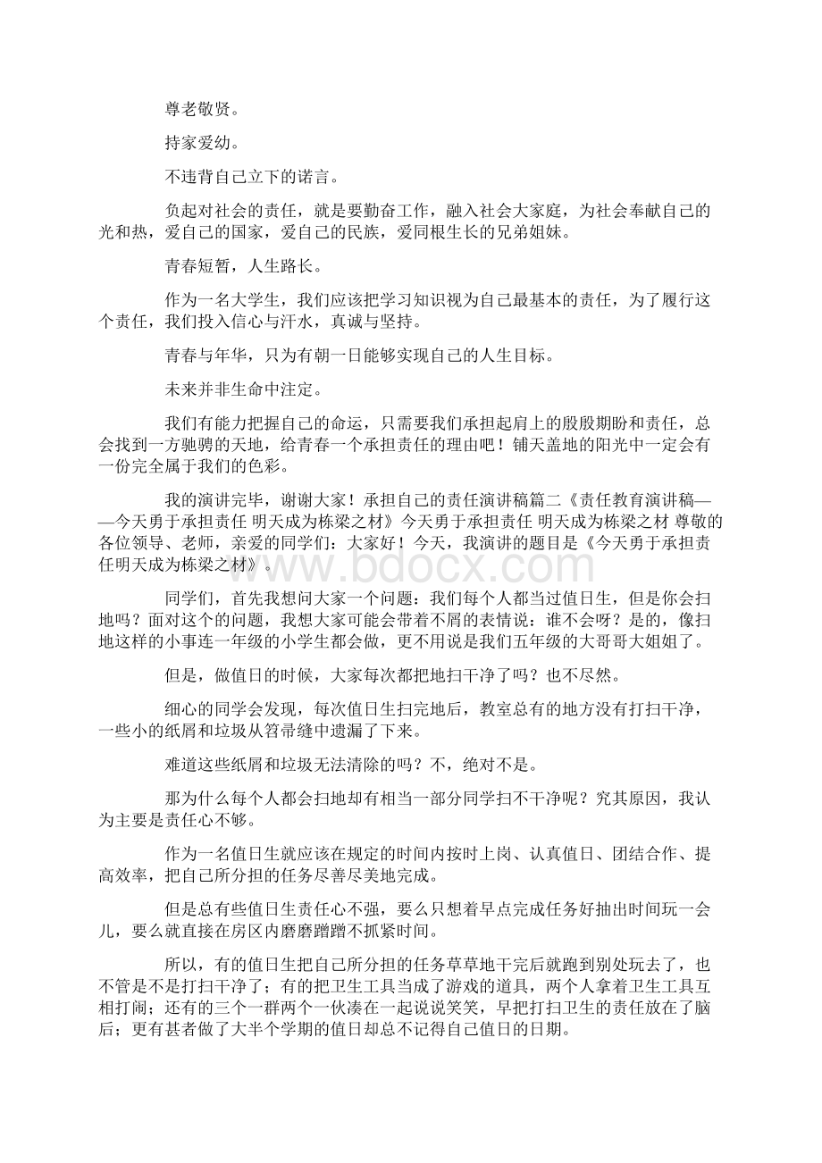 承担自己的责任演讲稿文档格式.docx_第2页