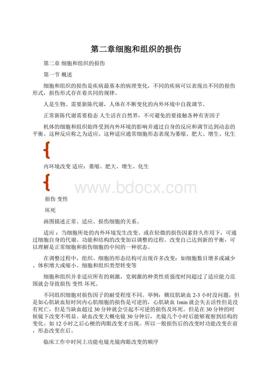 第二章细胞和组织的损伤Word格式.docx_第1页