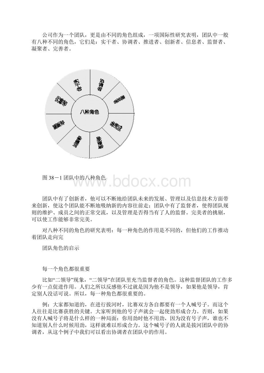 团队角色的分析与启示文档格式.docx_第2页