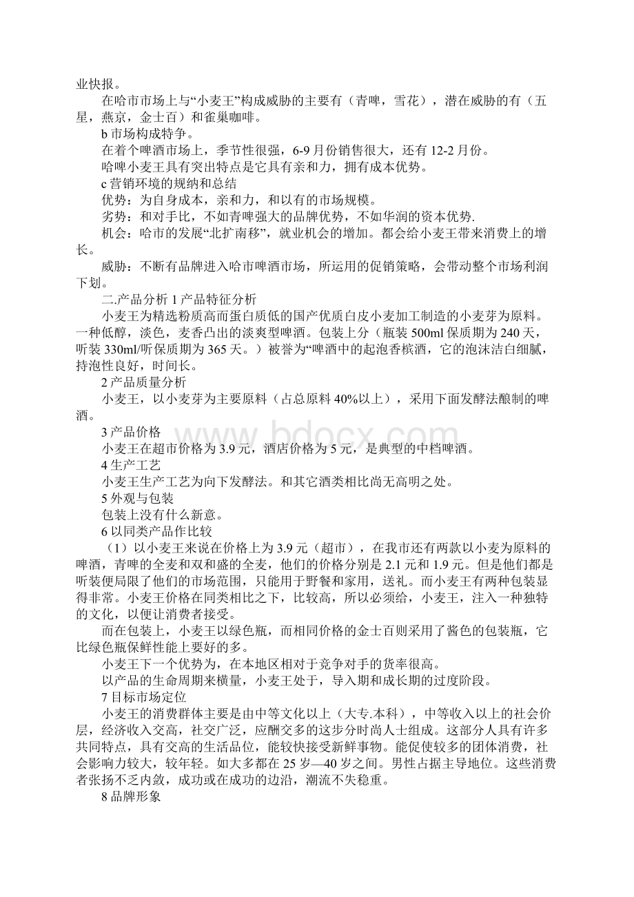 范文某啤酒的广告策划书文档格式.docx_第2页