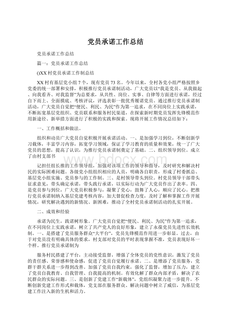 党员承诺工作总结Word格式.docx