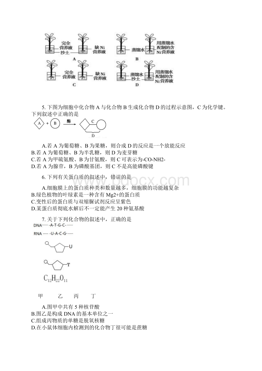 学年重庆市重庆一中高一下学期期末考试生物选考Word版含答案.docx_第2页