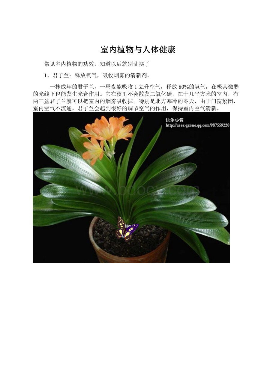 室内植物与人体健康.docx