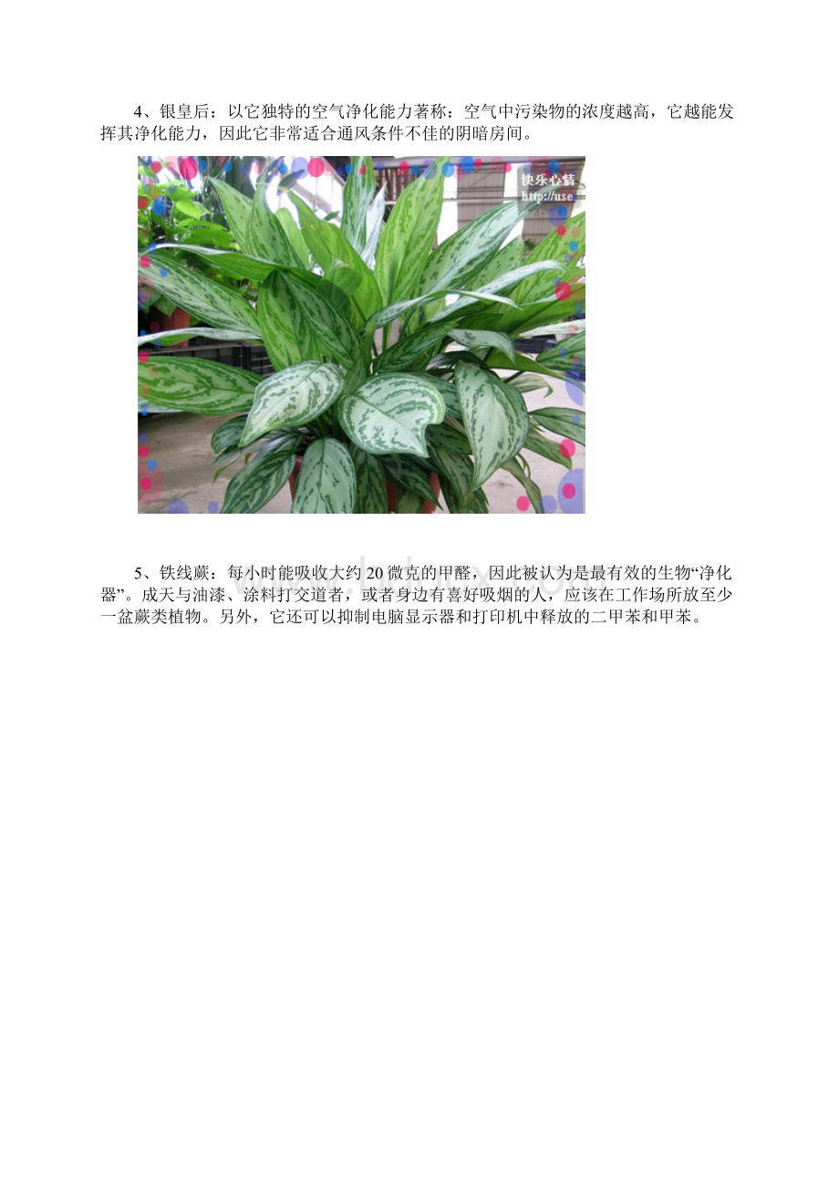 室内植物与人体健康Word文件下载.docx_第3页