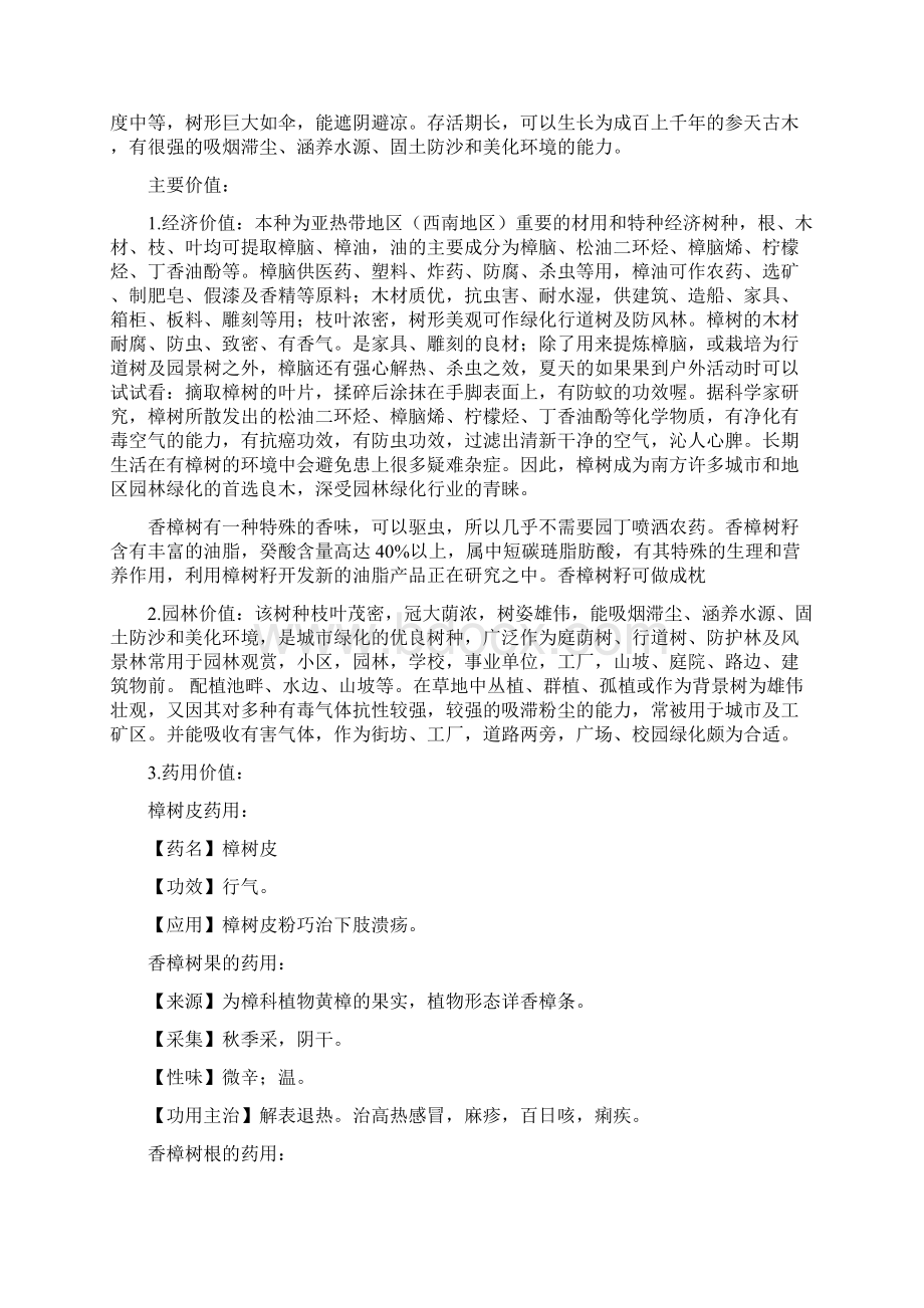 南方常见绿化苗木习性.docx_第2页