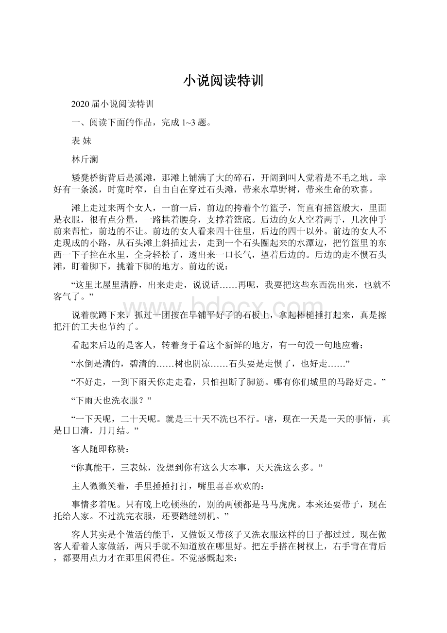 小说阅读特训文档格式.docx_第1页