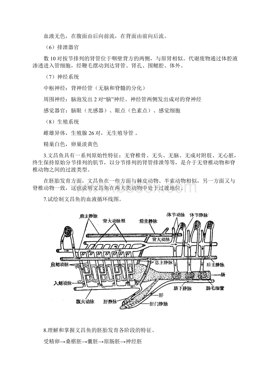 脊索动物门圆口纲鱼纲+作业 2要点.docx_第3页