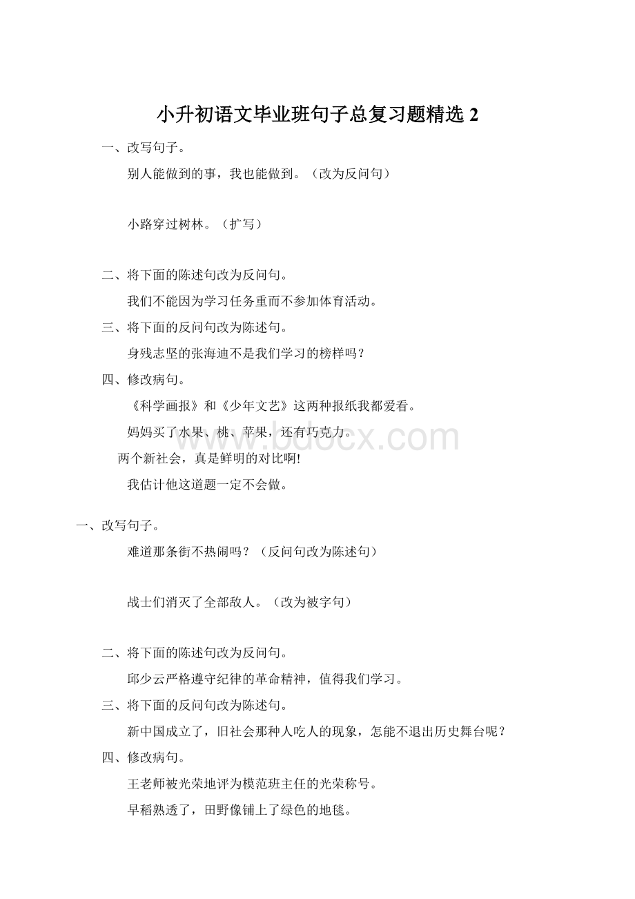 小升初语文毕业班句子总复习题精选2.docx_第1页