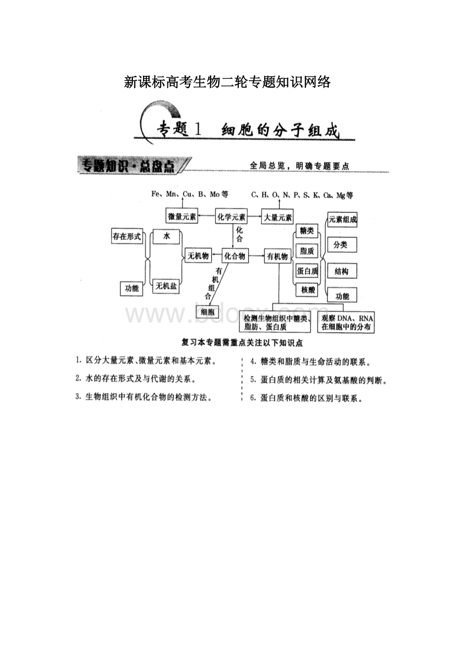 新课标高考生物二轮专题知识网络.docx_第1页