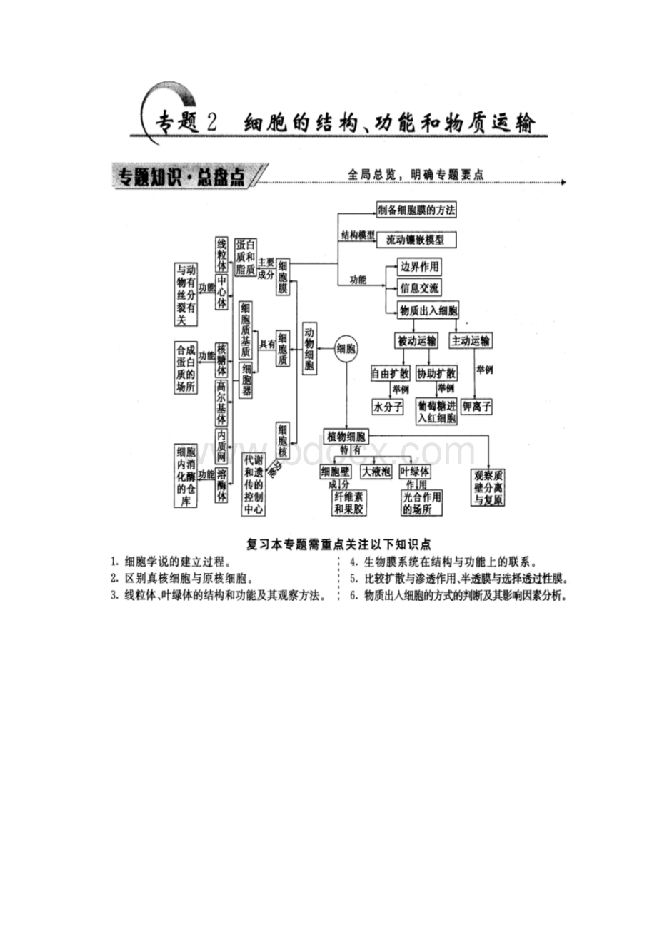 新课标高考生物二轮专题知识网络.docx_第2页