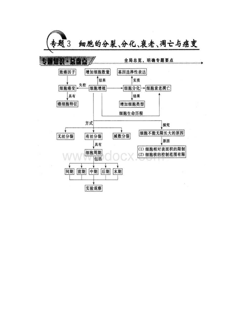 新课标高考生物二轮专题知识网络.docx_第3页