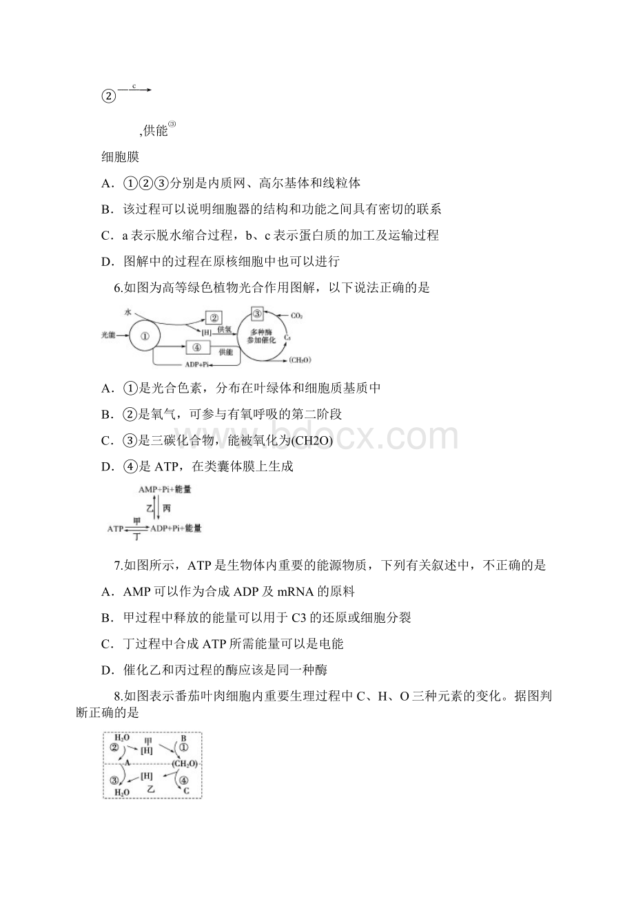 届高考生物第一轮总复习限时训练题1.docx_第3页