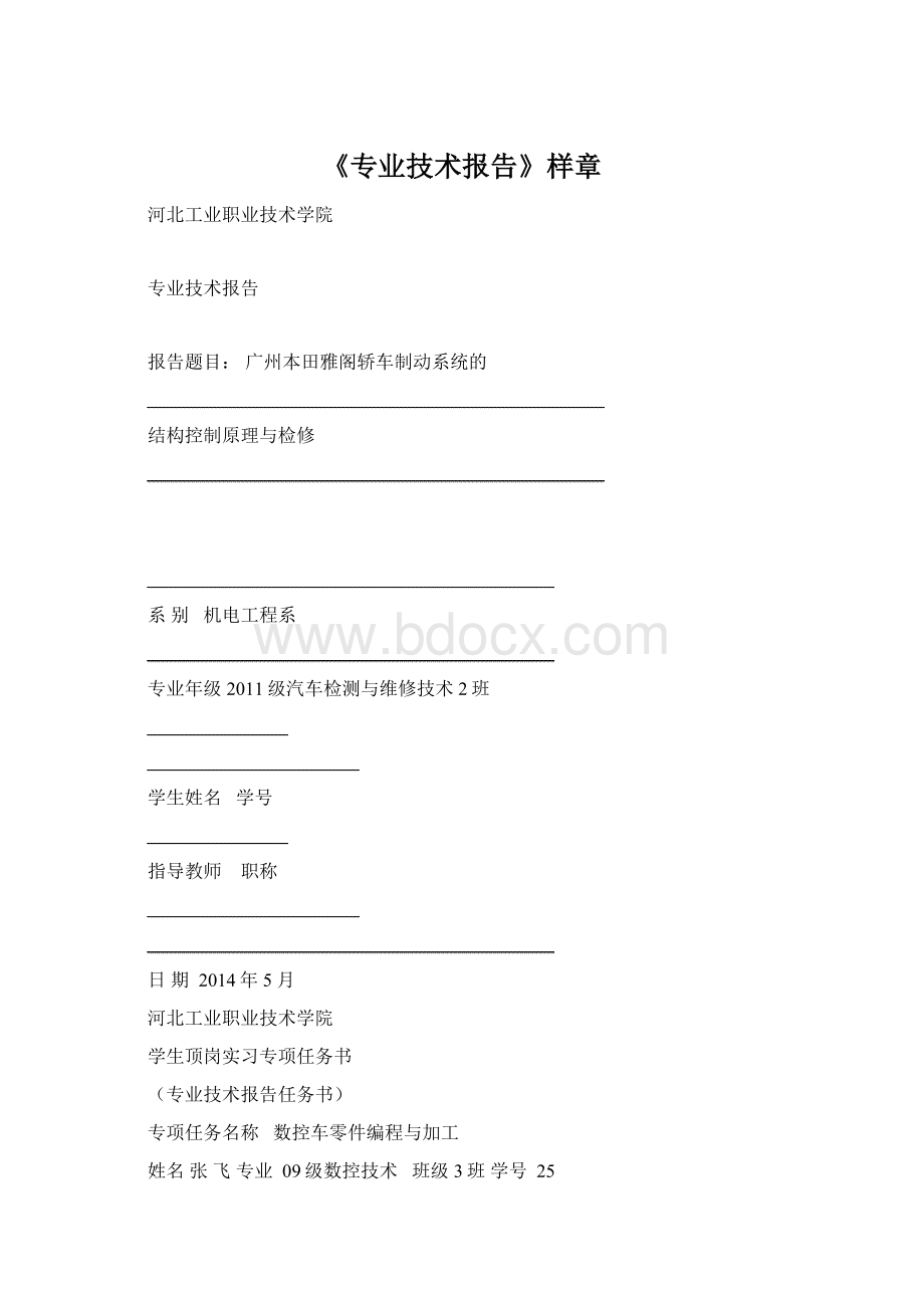 《专业技术报告》样章Word格式.docx_第1页