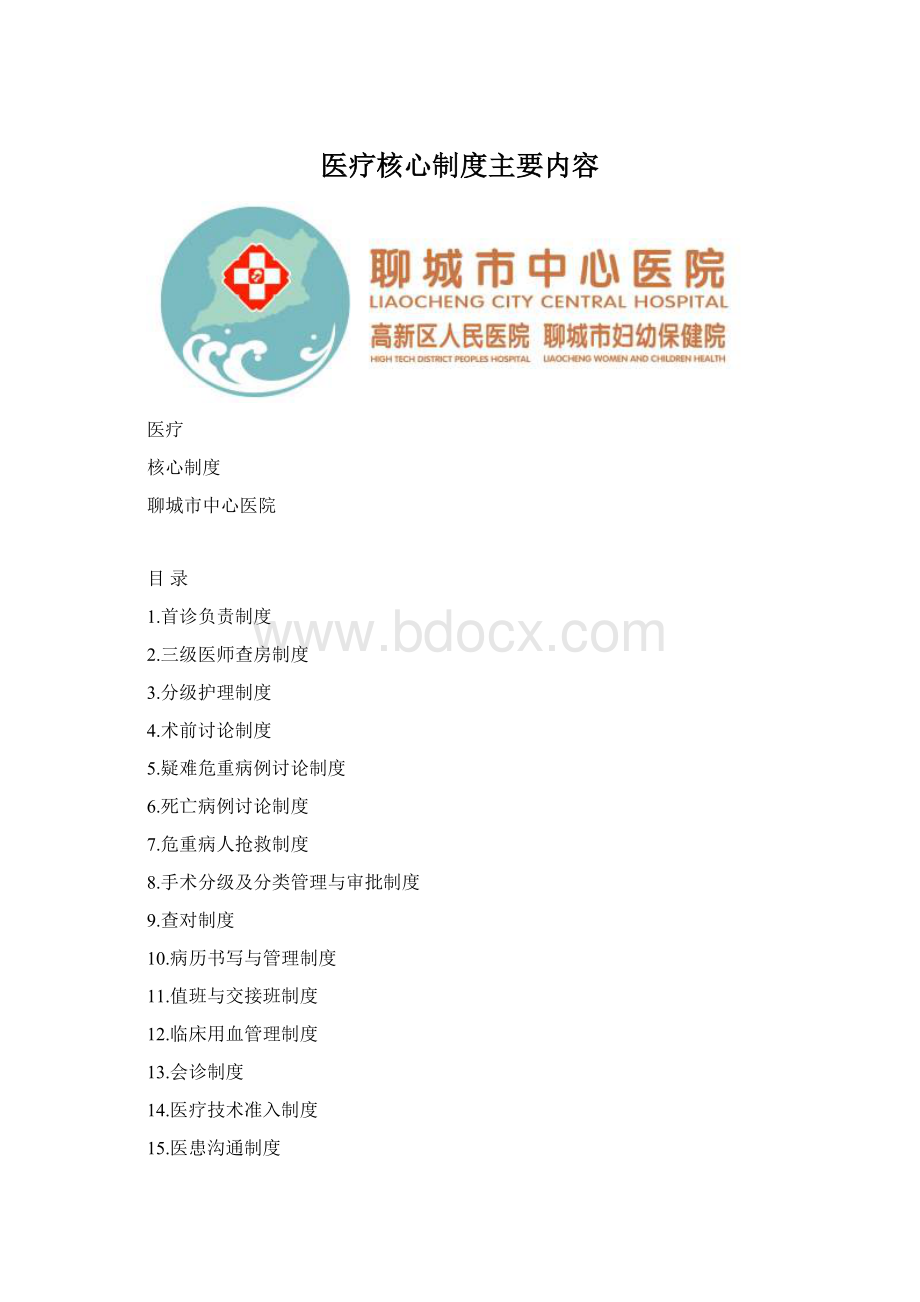 医疗核心制度主要内容Word文件下载.docx_第1页