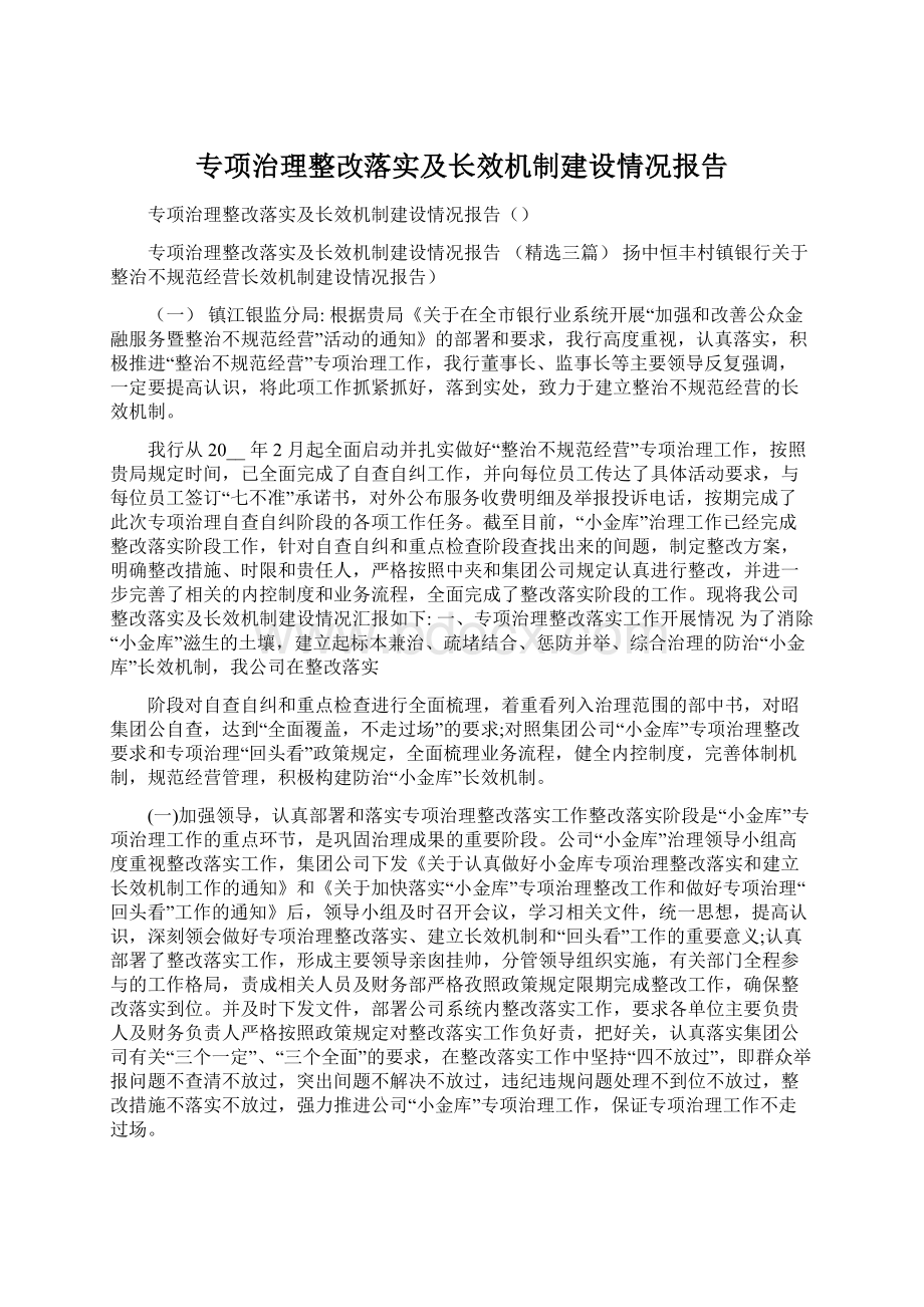 专项治理整改落实及长效机制建设情况报告.docx_第1页