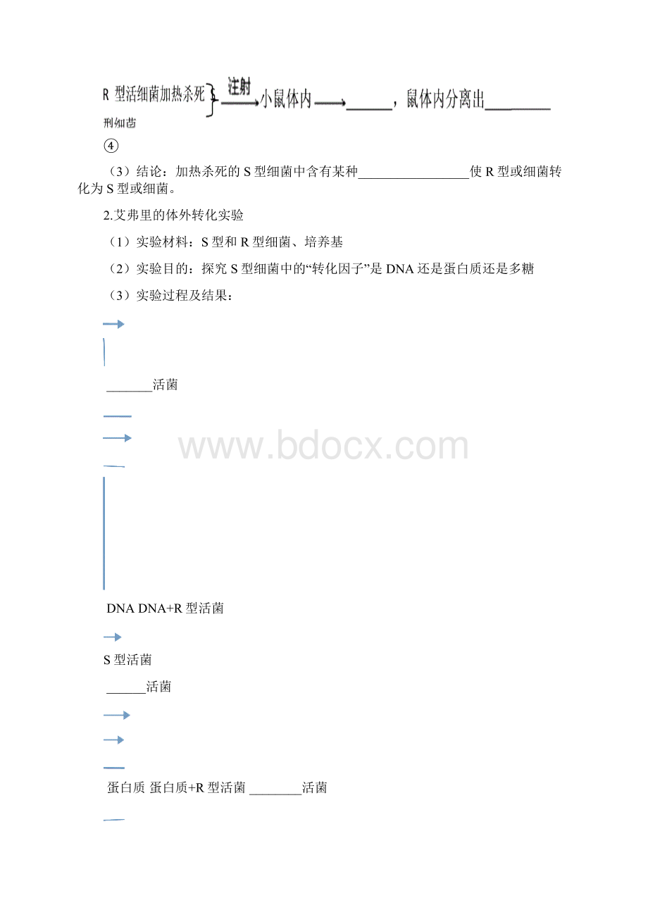 专题2遗传的分子基础Word文档格式.docx_第2页