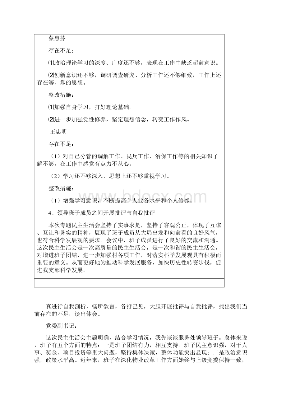 专题民主生活会会议纪要.docx_第2页