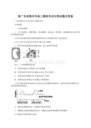 届广东省惠州市高三模拟考试生物试题及答案文档格式.docx