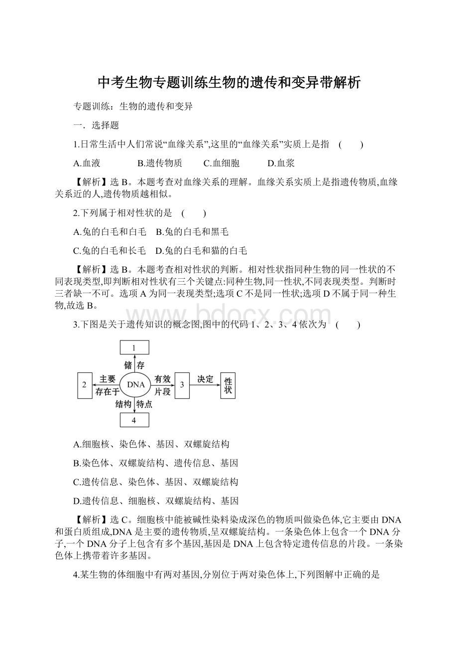 中考生物专题训练生物的遗传和变异带解析Word文件下载.docx