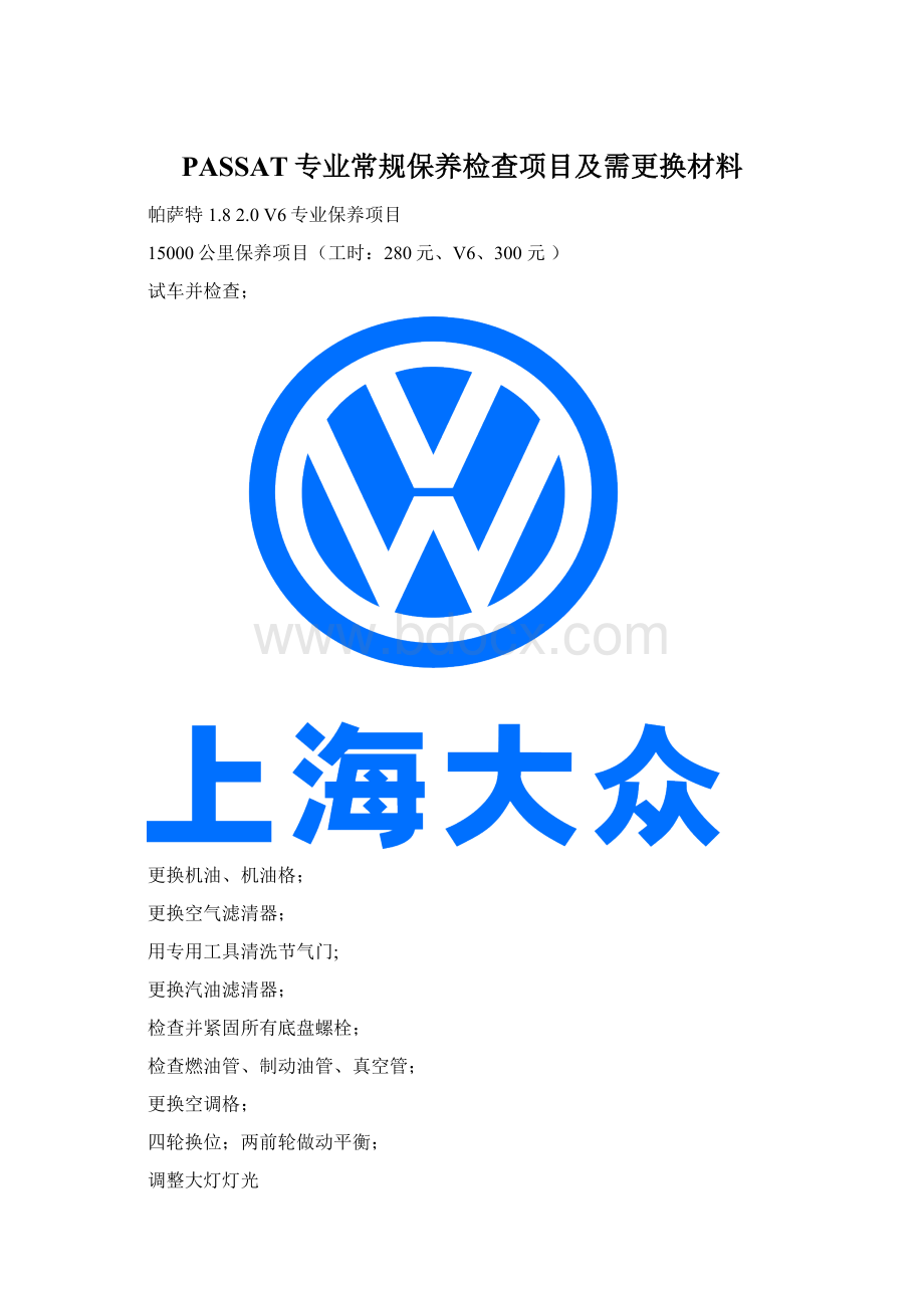 PASSAT专业常规保养检查项目及需更换材料Word下载.docx