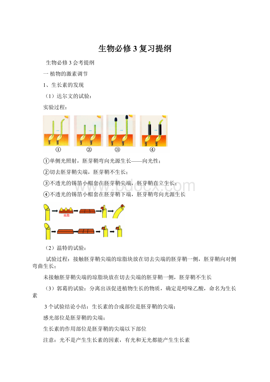 生物必修3复习提纲.docx