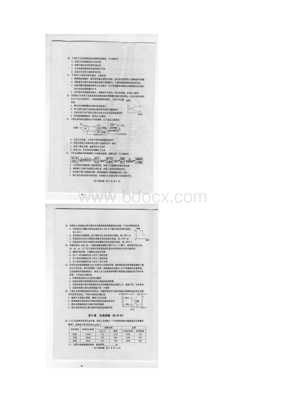 吉林省吉林市普通中学届高三生物毕业班第二次调研测试试题扫描版资料.docx_第3页