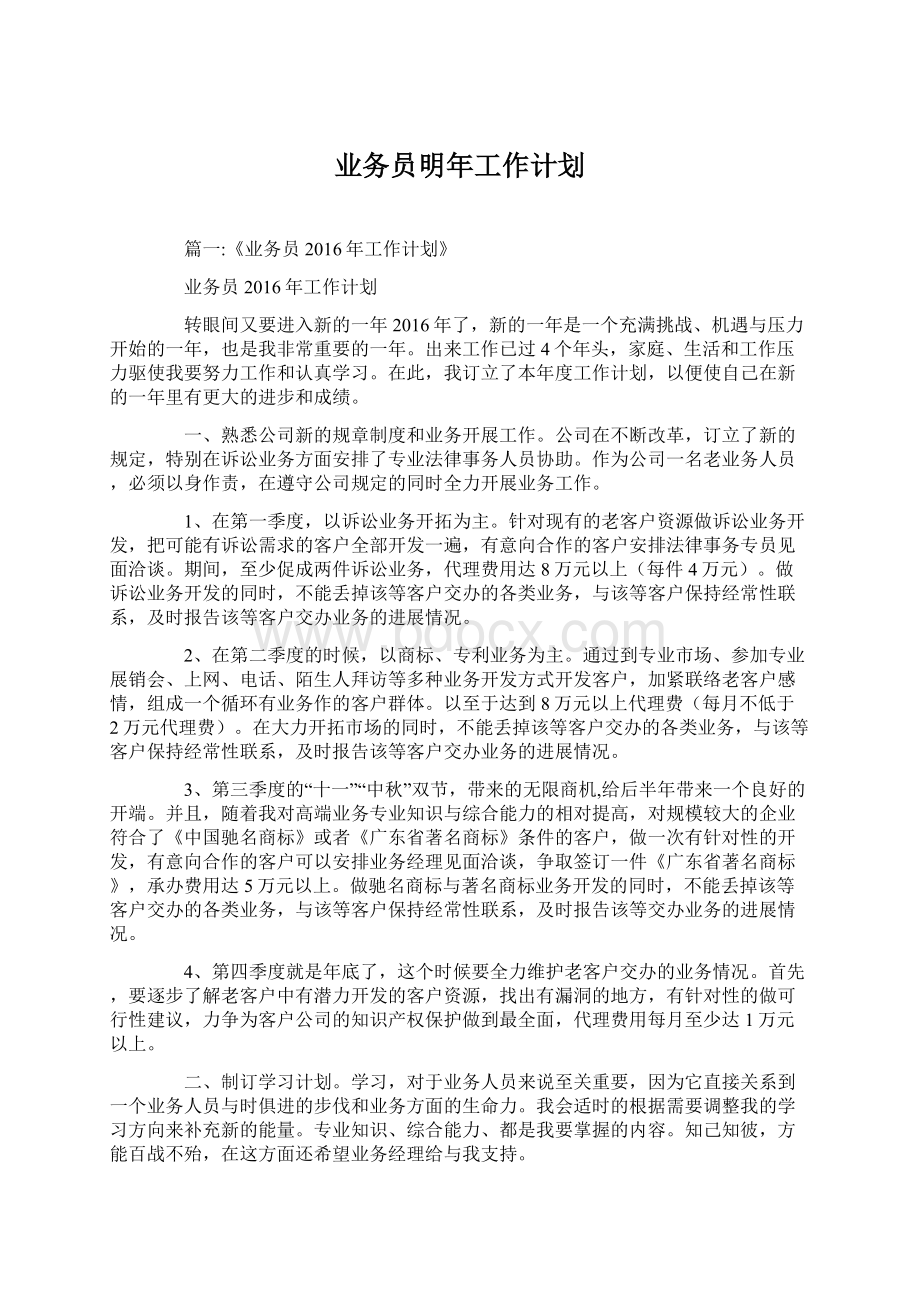 业务员明年工作计划.docx