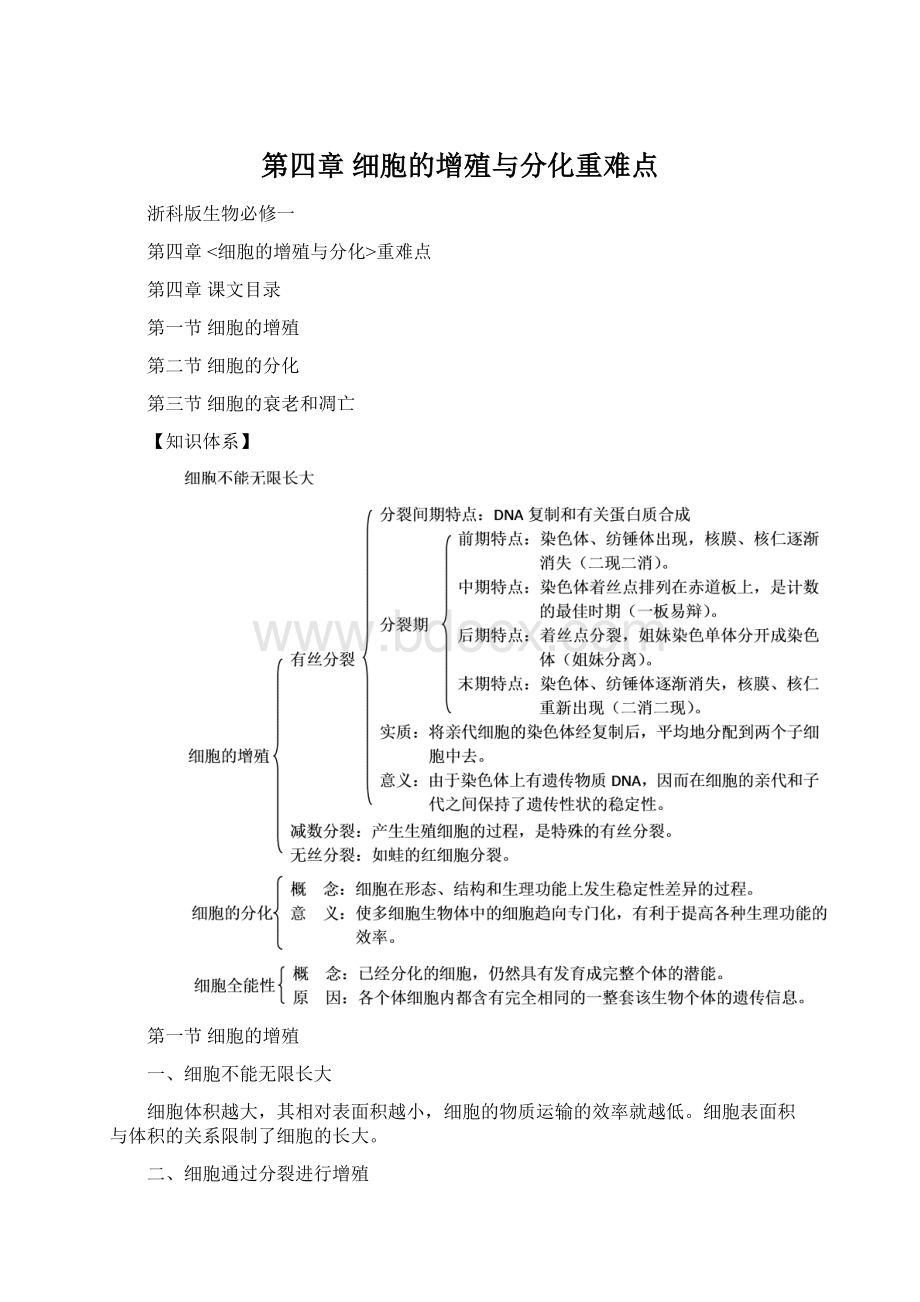 第四章 细胞的增殖与分化重难点Word格式.docx_第1页