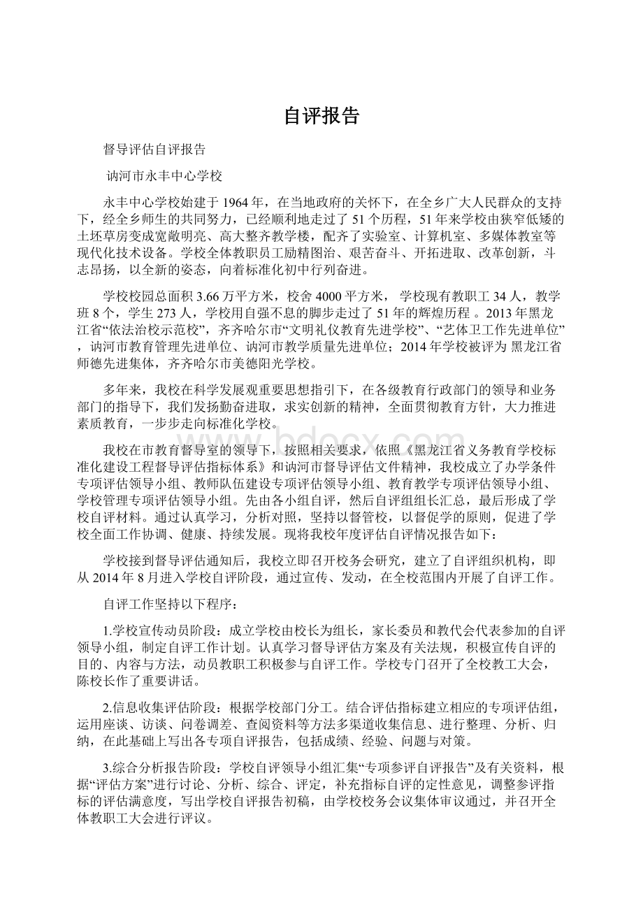 自评报告Word文件下载.docx