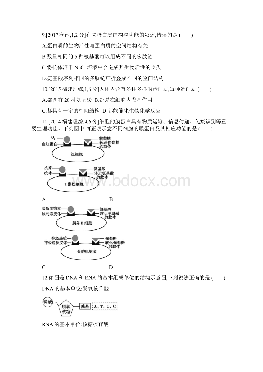 第一单元专题一 细胞的分子组成.docx_第3页